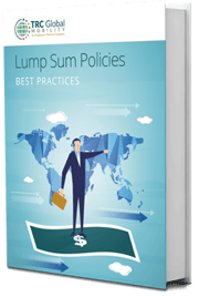 ebook-thumbnail-Lump-Sum-Policies (1).png