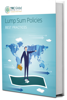 ebook-thumbnail-Lump-Sum-Policies (1).png